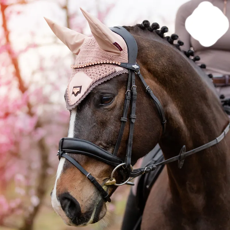 LeMieux Classic Diamante Browband - Black Leather Rose-4